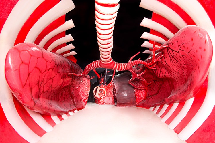 بهترین جاهای دیدنی مشهد بهترین جاهای دیدنی مشهد