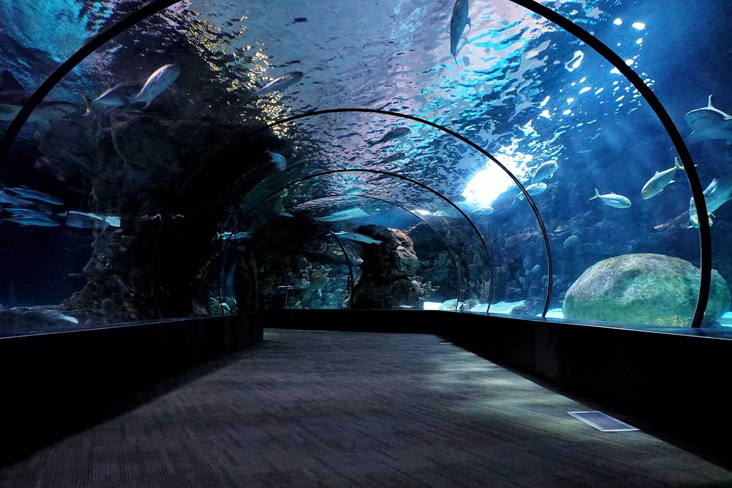 بهترین جاهای دیدنی مشهد بهترین جاهای دیدنی مشهد