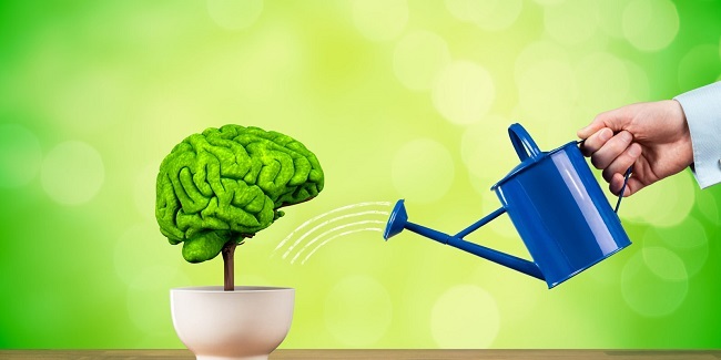 راههایی برای تقویت حافظه در سنین بالا راههایی برای تقویت حافظه در سنین بالا