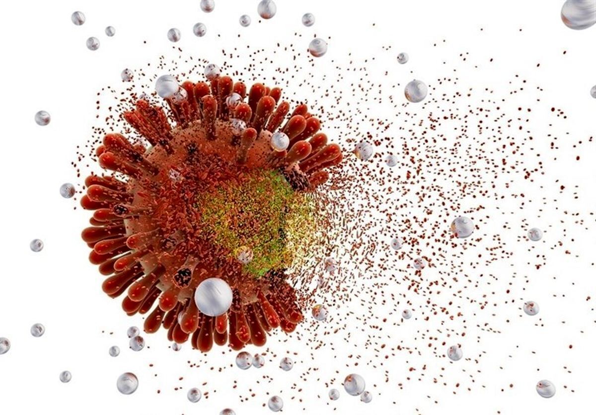 ویروس «پیرولا» به ایران رسیده است؟/ دوباره نگران کرونا باشیم؟