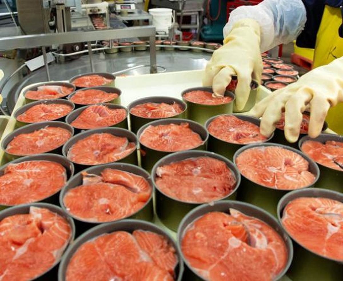 ماهی تن با دور زدن تحریمها وارد کشور میشود! ماهی تن با دور زدن تحریمها وارد کشور میشود!