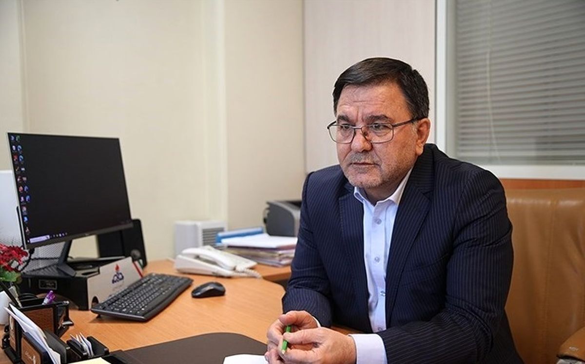 نعمتی: برخی دستگاههای نظارتی پا را فراتر از گلیمشان گذاشتهاند! نعمتی: برخی دستگاههای نظارتی پا را فراتر از گلیمشان گذاشتهاند!