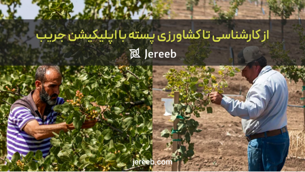 احداث باغ پسته در ایران، مزایا و چالش‌ها