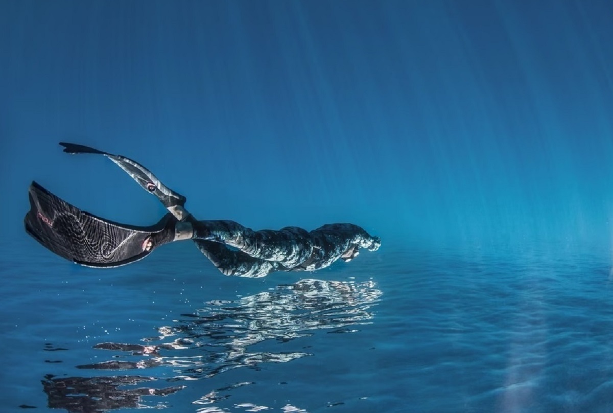 برندگان مسابقه عکاسی اقیانوس در سال ۲۰۲۳