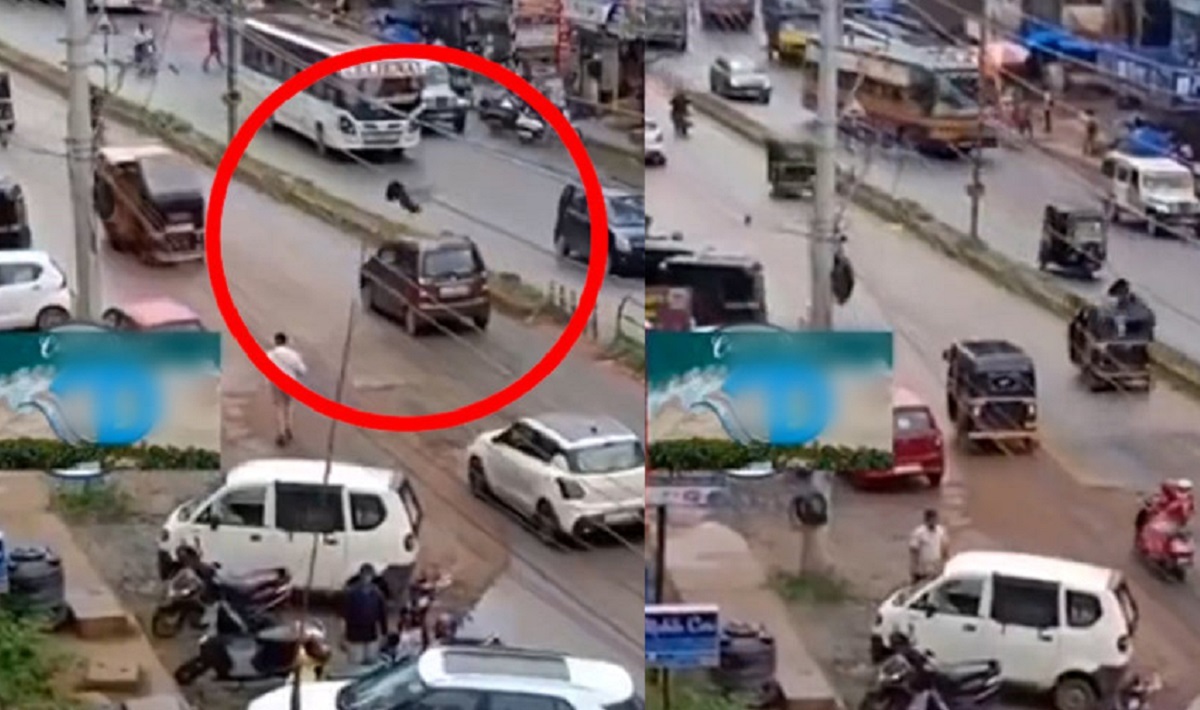 لحظه دلخراش برق گرفتگی مرد جوان هنگام نجات ۲ پرنده لحظه دلخراش برق گرفتگی مرد جوان هنگام نجات ۲ پرنده