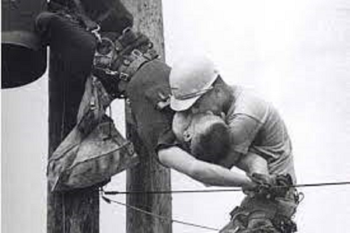 بازتاب گسترده عکس «بوسه زندگی» در جهان بازتاب گسترده عکس «بوسه زندگی» در جهان