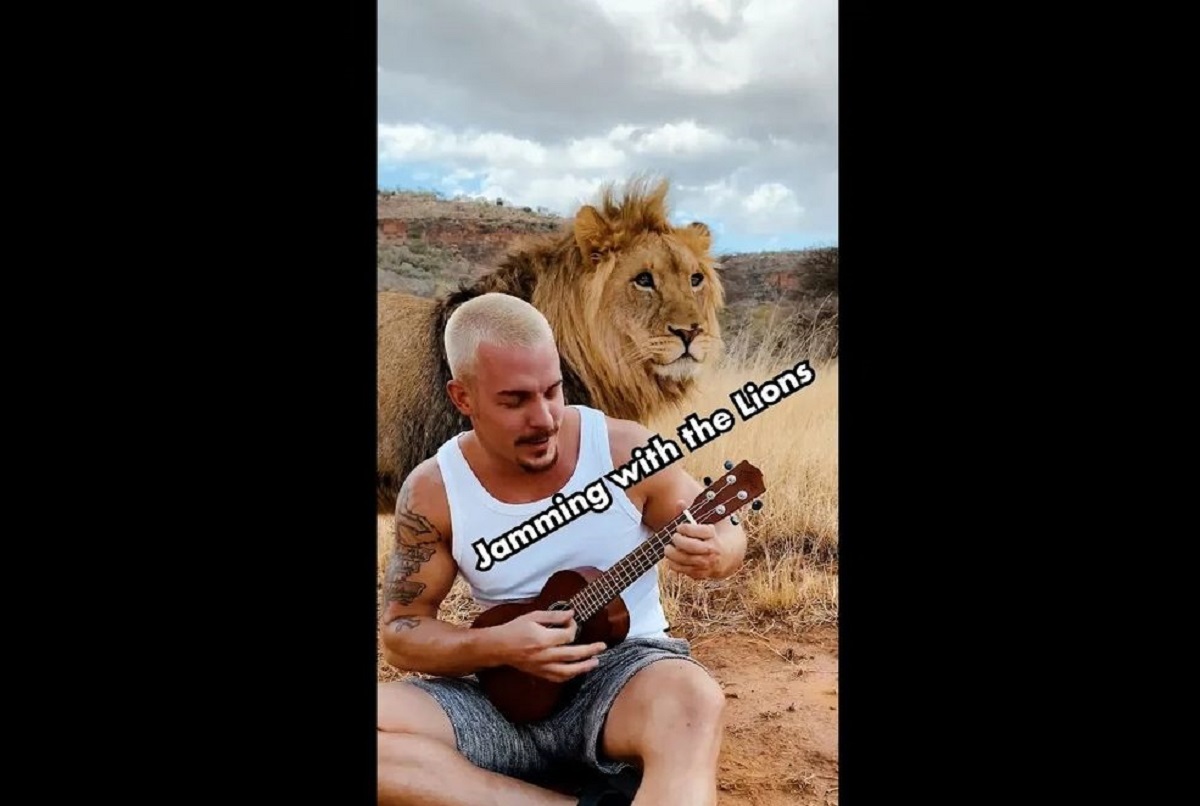 فیلم هیجانانگیز جوان که با شیرها زندگی میکند! فیلم هیجانانگیز جوان که با شیرها زندگی میکند!