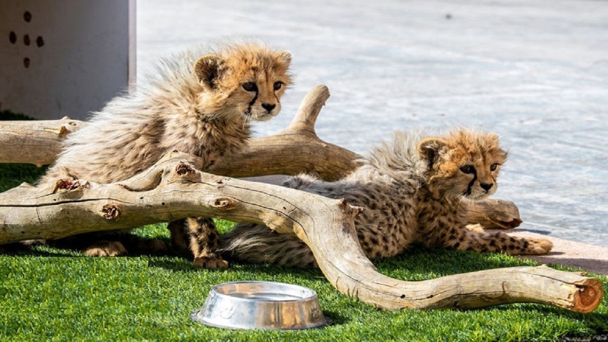 حمام آفتاب آذر و توران در پارک ملی