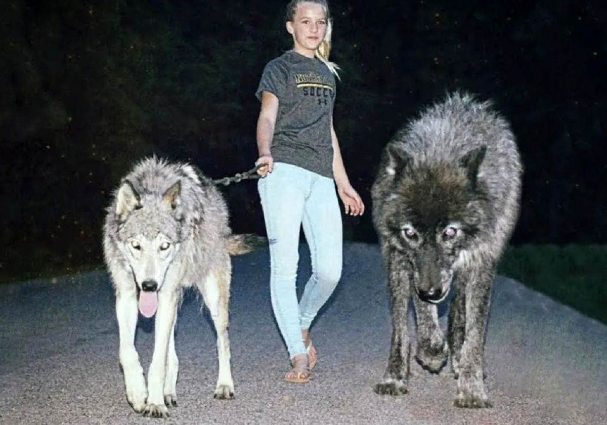 نگهداری ۱۵ حیوان خطرناکی که خانگی هستند!