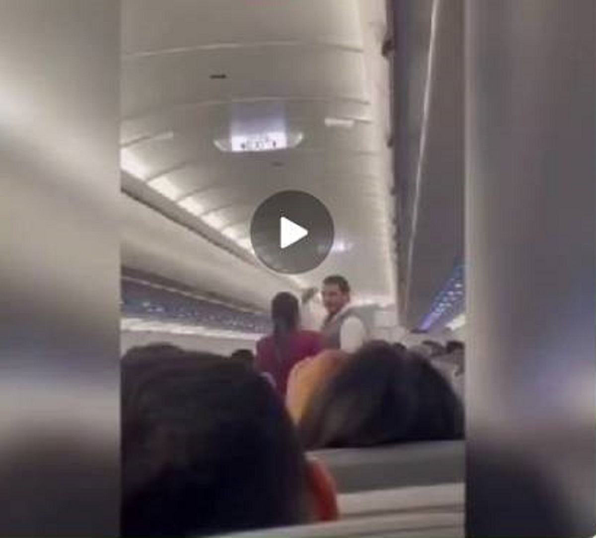 لحظه هجوم حشرات به داخل یک هواپیمای مکزیکی لحظه هجوم حشرات به داخل یک هواپیمای مکزیکی