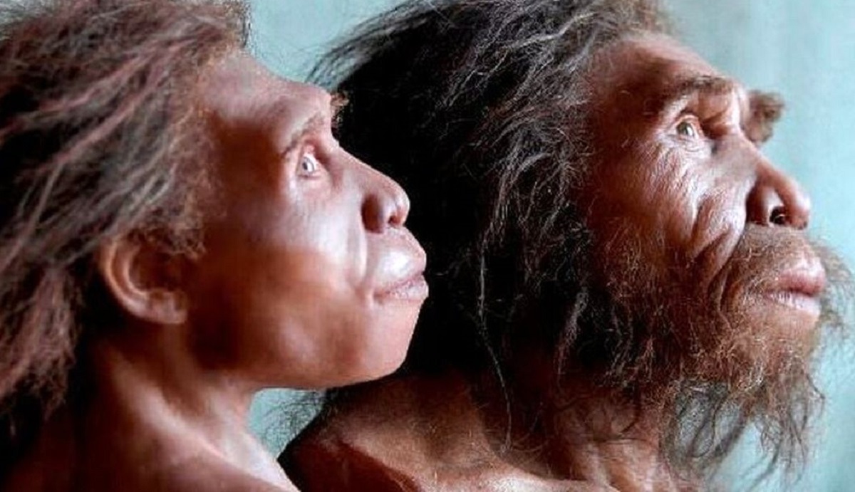 فیلم سیر تکاملی انسان از گذشته تا بحال از نظر هوش مصنوعی فیلم سیر تکاملی انسان از گذشته تا بحال از نظر هوش مصنوعی