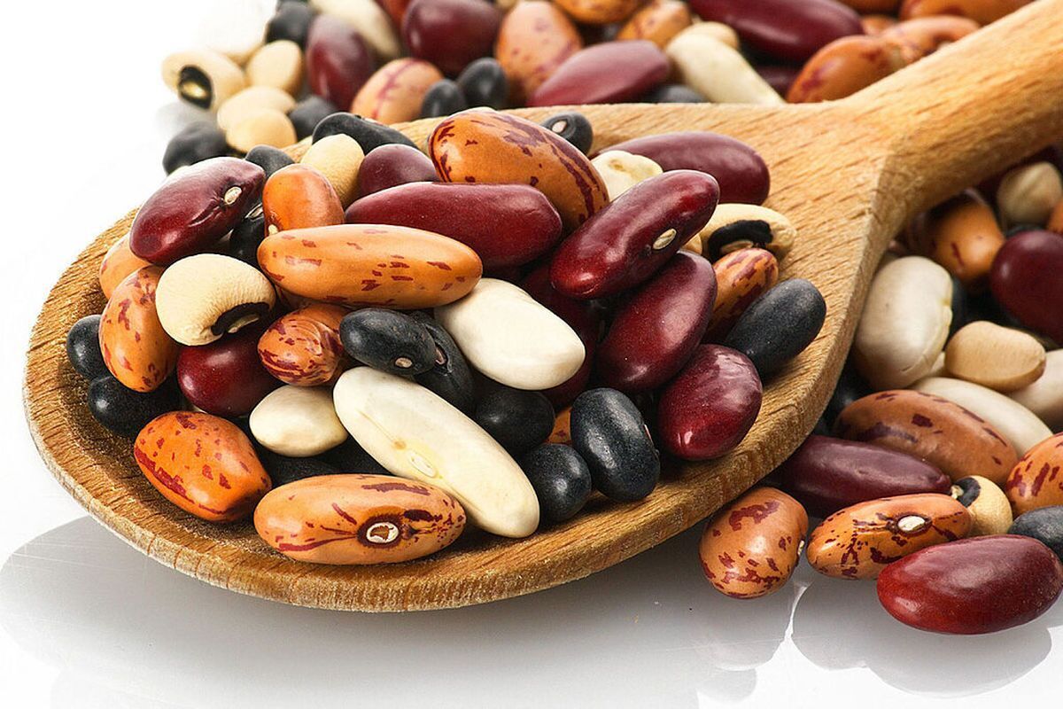 رژیم غذایی رژیم غذایی