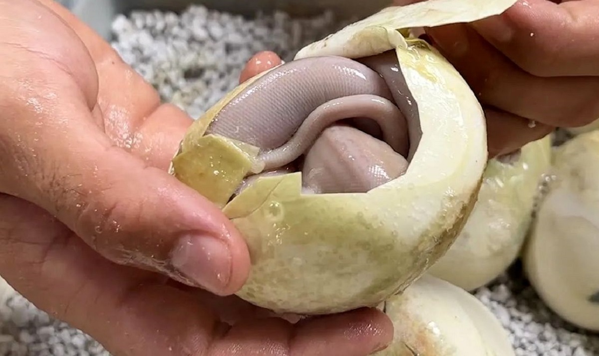 ماجرای فوت زندانی در ندامتگاه اوین! ماجرای فوت زندانی در ندامتگاه اوین!