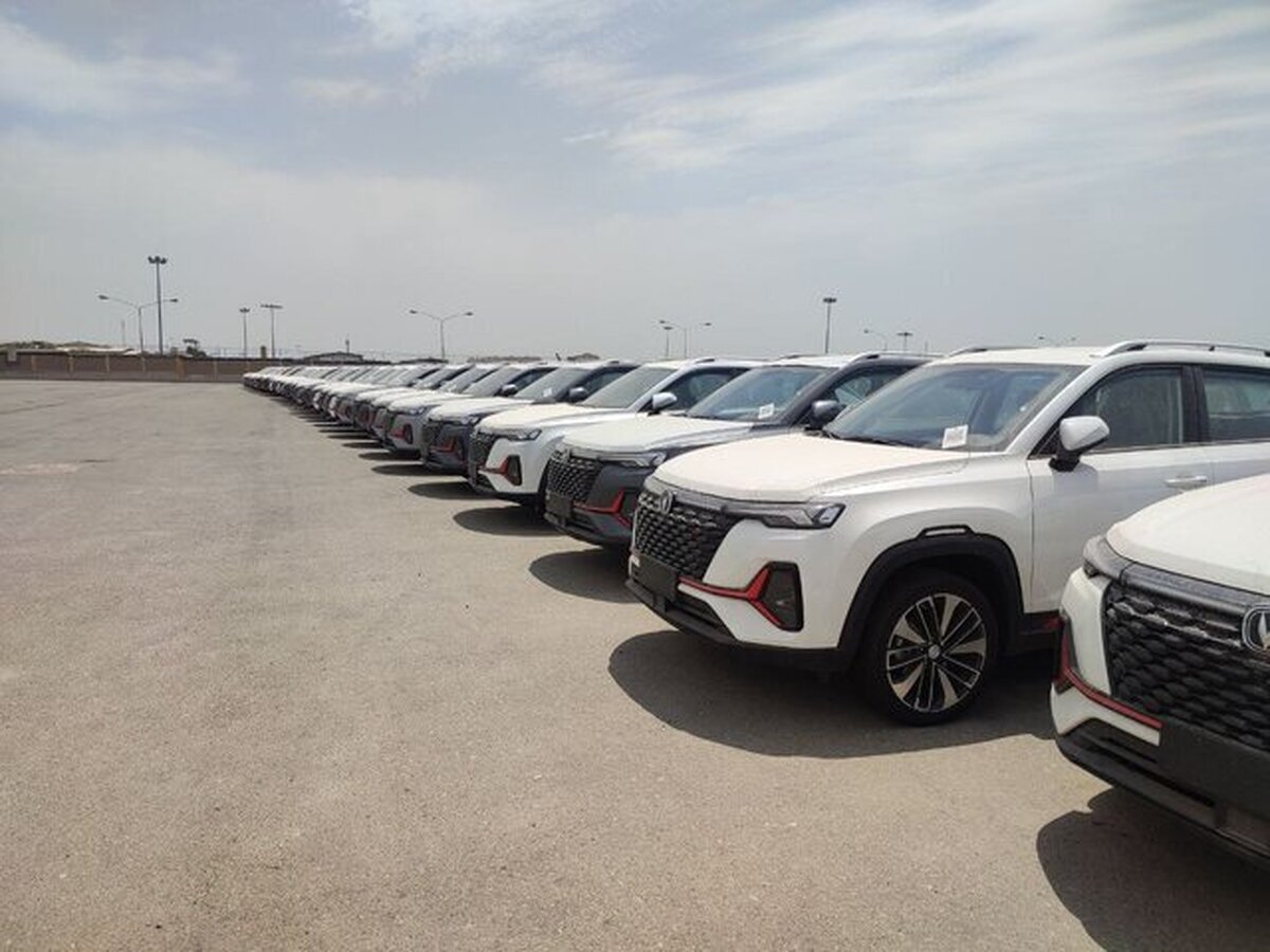 اولین ویدئو از ورود خودرو‌های وارداتی به کشور