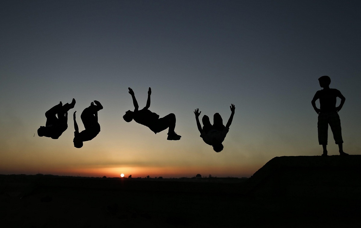 عضو فرهنگستان زبان فارسی: اکثر ورزشها به یک حیوان تشبیه شده است عضو فرهنگستان زبان فارسی: اکثر ورزشها به یک حیوان تشبیه شده است