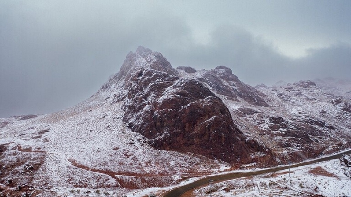 کشف عجیبترین مار در کوههای عسیر کشف عجیبترین مار در کوههای عسیر