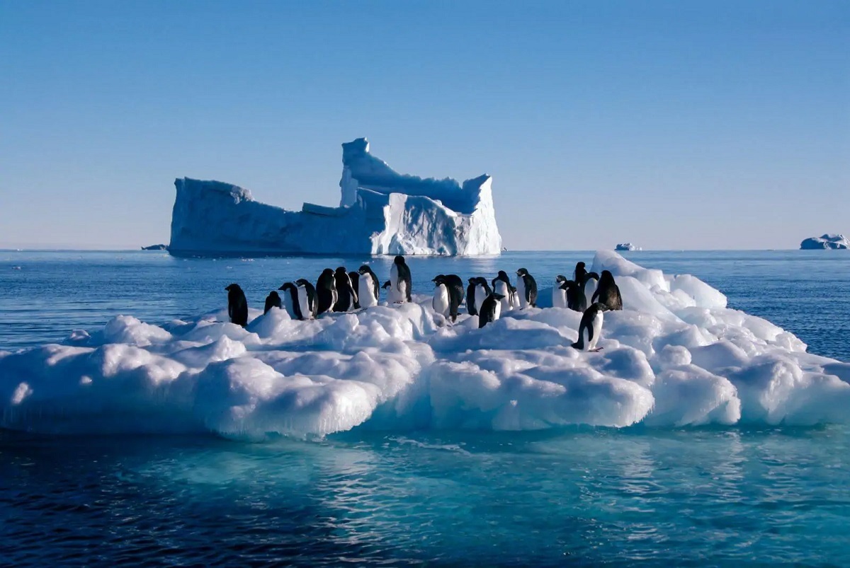 ورود هیجانی محققان به قطب جنوب