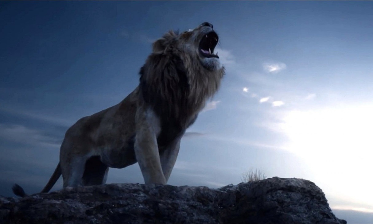 ویدئوی وایرال شده غرش شیر!