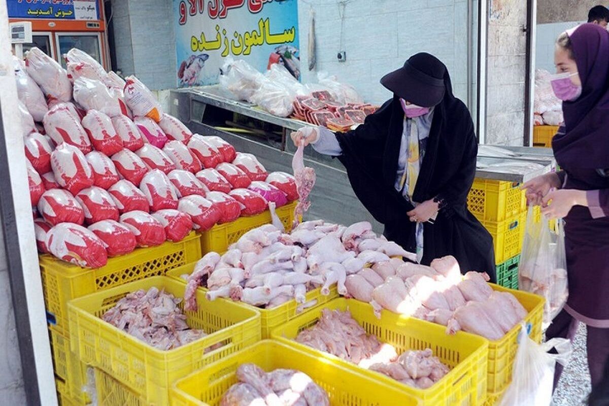 قیمت گوشت مرغ در بازار روز امروز نهایی شد!