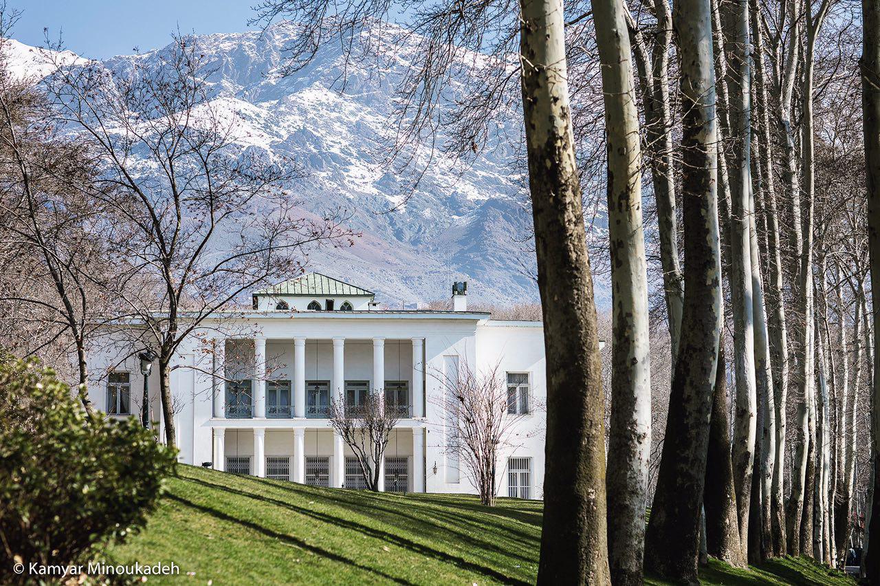 ویدیویی از قطع کردن درختان مجموعه سعدآباد