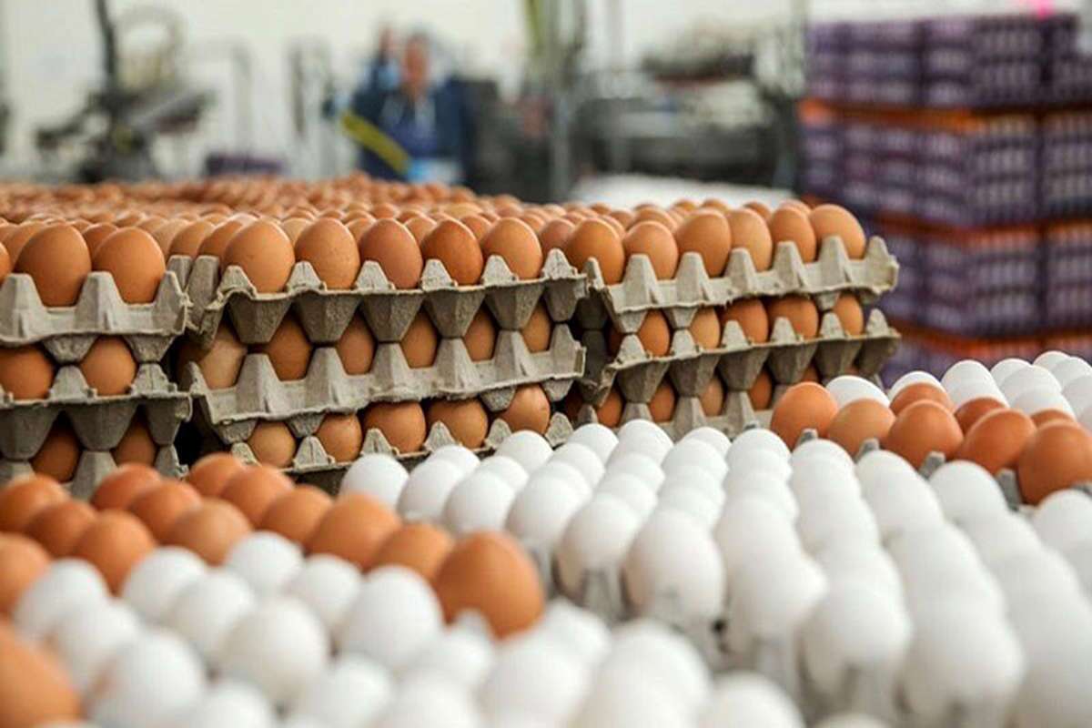 قیمت تخم مرغ بسته بندی در بازار چند؟