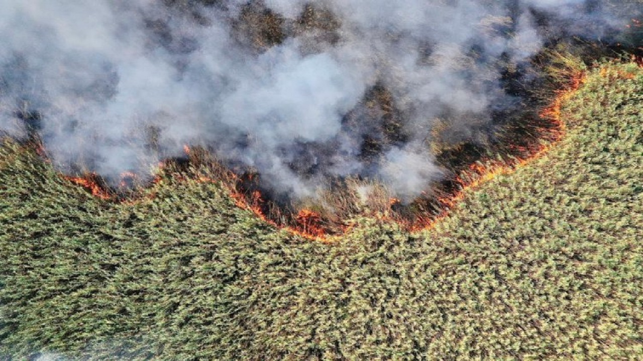 تصاویری از دود عظیم آتش‌سوزی در هورالعظیم