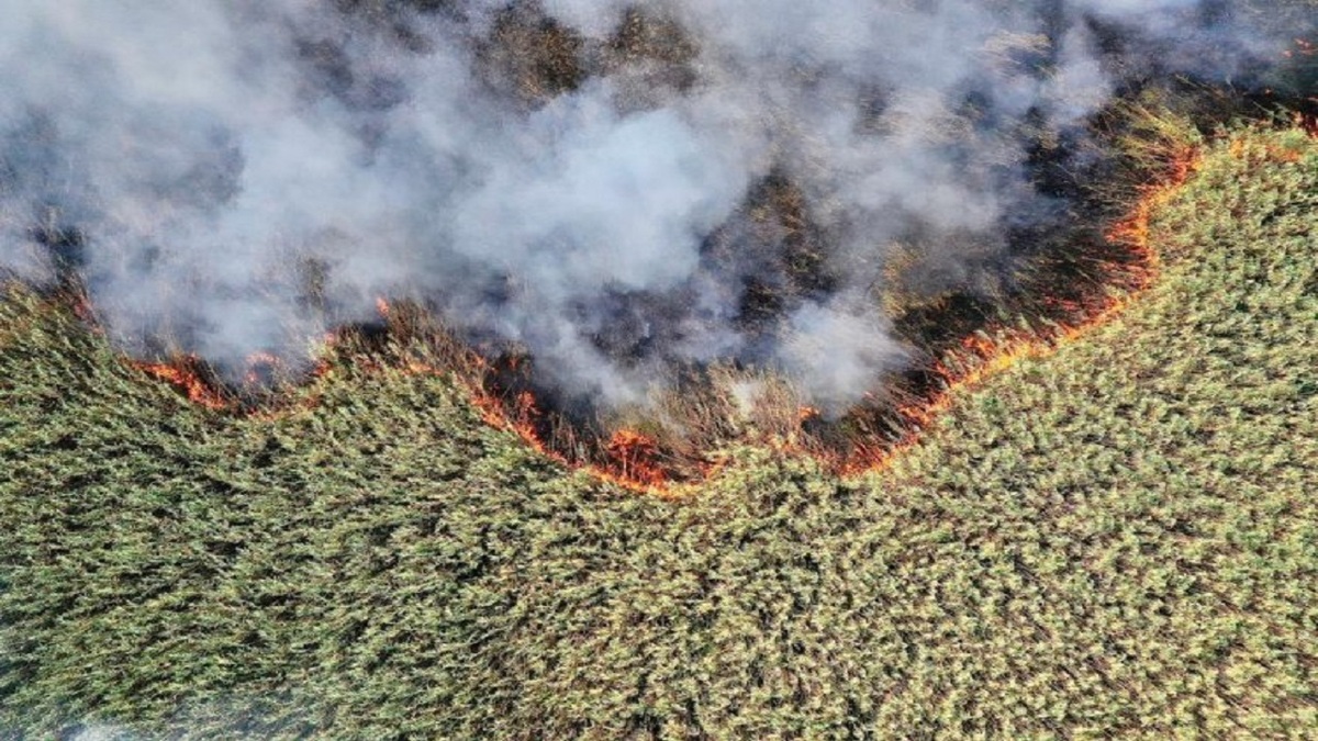 تصاویری از دود عظیم آتش‌سوزی در هورالعظیم