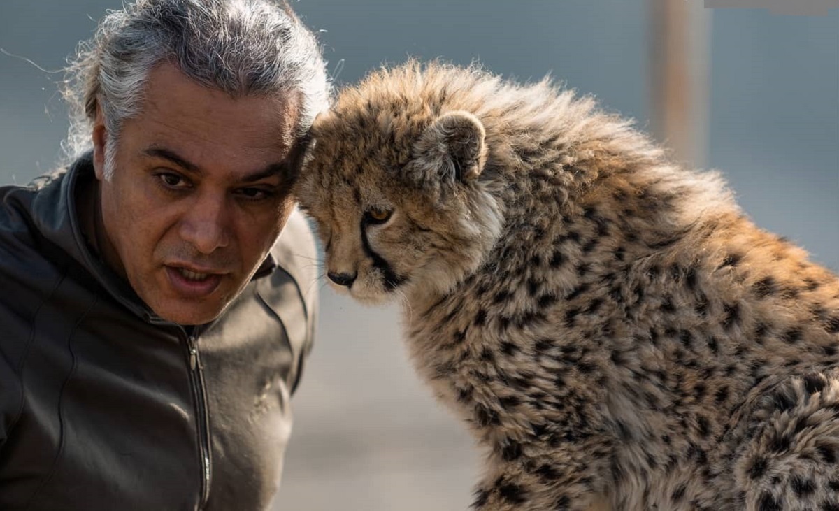 پیروز یوزپلنگ ایرانی