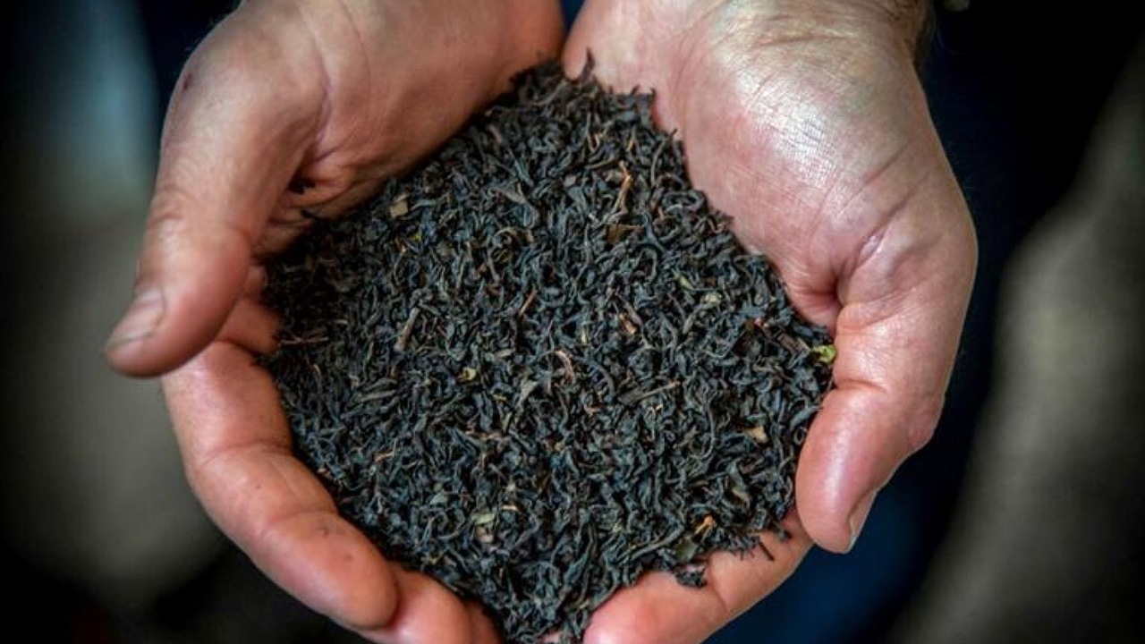 توضیحات وزارت کشاورزی درباره تخلف واردات چای