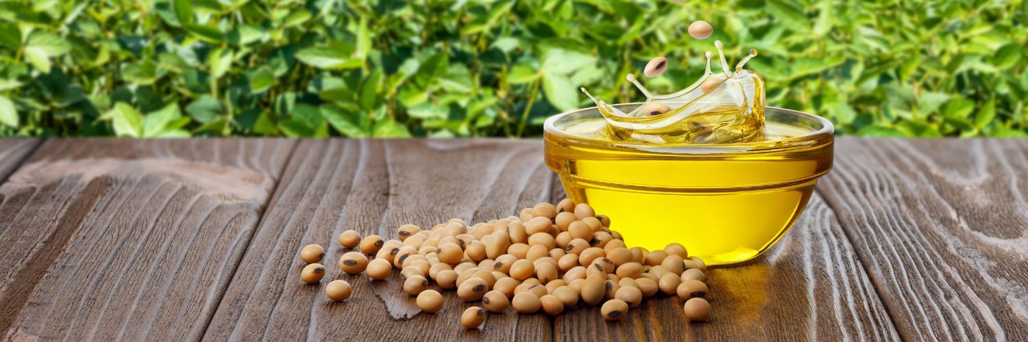 هر آنچه باید درباره روغن سویا بدانید هر آنچه باید درباره روغن سویا بدانید