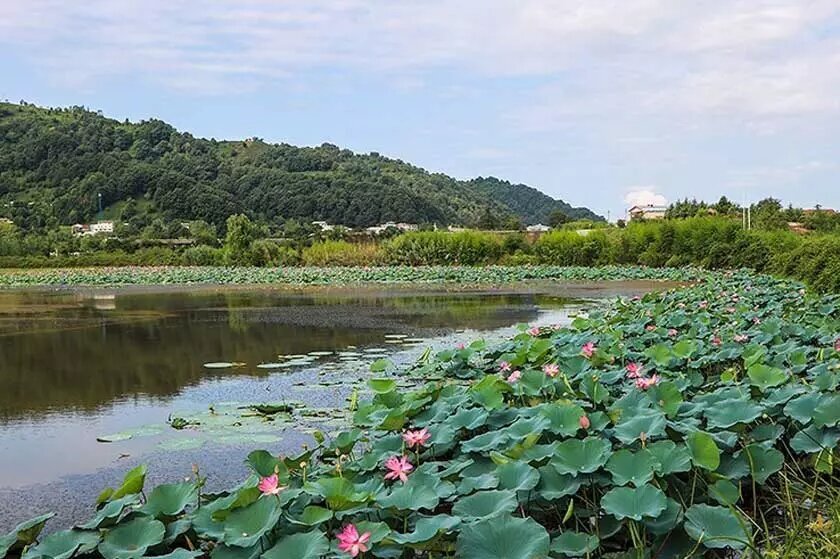 جاذبه‌های گردش‌گری عروس گیلان