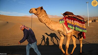 تجربه‌ای متفاوت از سافاری در دل کویر یزد