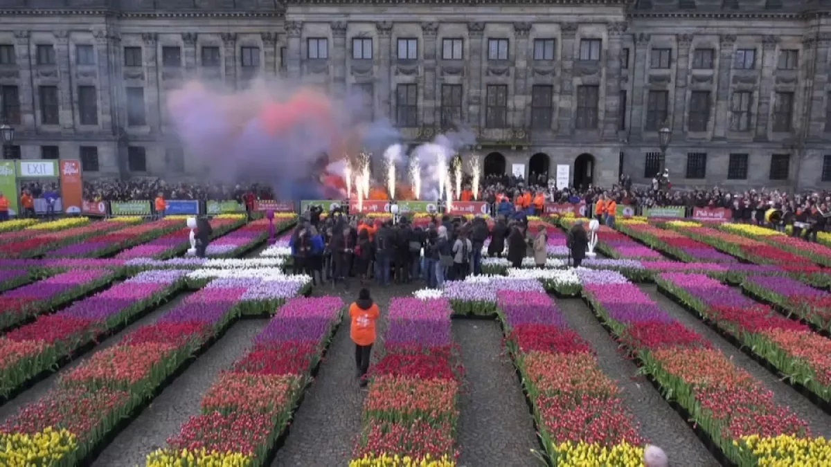 ببینید| ویدئویی جالب از جشن روز ملی لالهها در هلند ببینید| ویدئویی جالب از جشن روز ملی لالهها در هلند