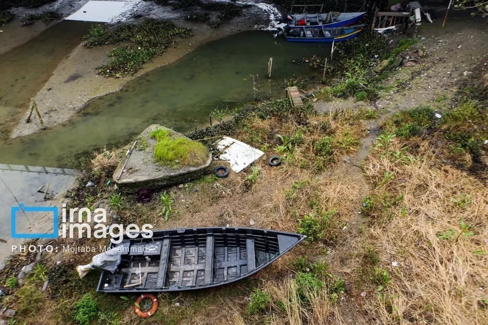 تصاویر غم انگیز از خشک شدن تالاب انزلی