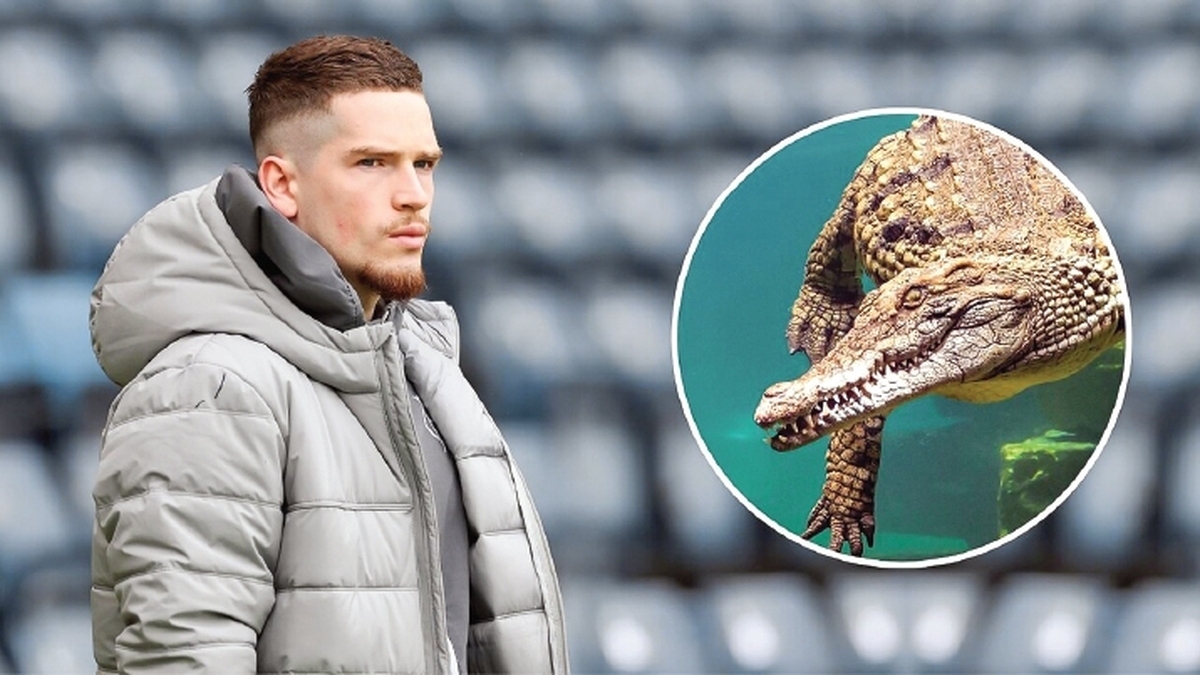 شرط و شروط عجیب فوتبالیست‌های خارجی برای بازی در تیم‌های ایرانی؛ از ویلای استخردار تا نگهداری از تمساح خانگی