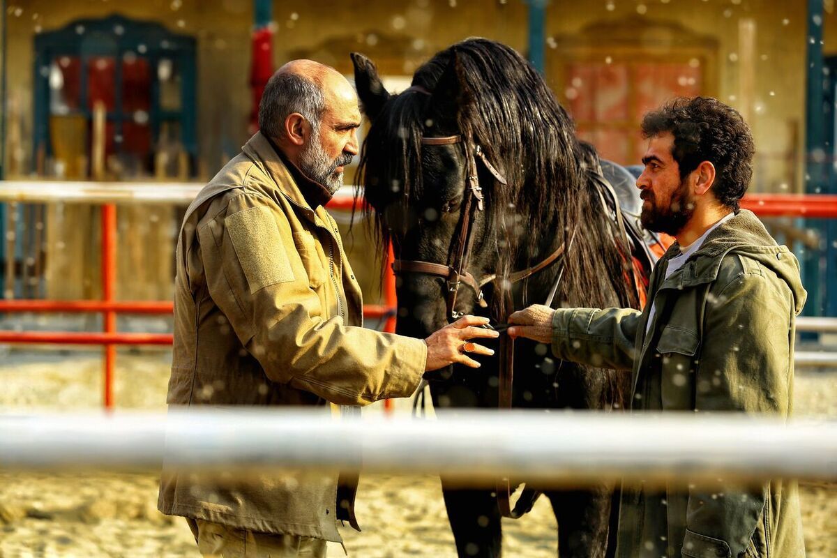 میرسعید مولویان کیست؟