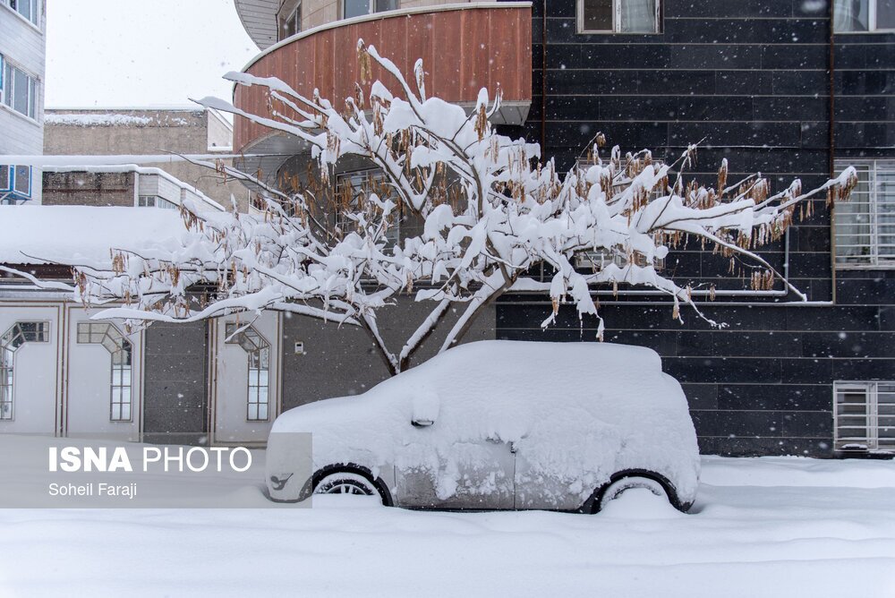 ایران سفید پوش شد