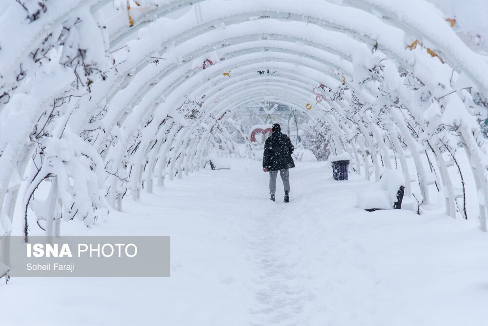 ایران سفید پوش شد