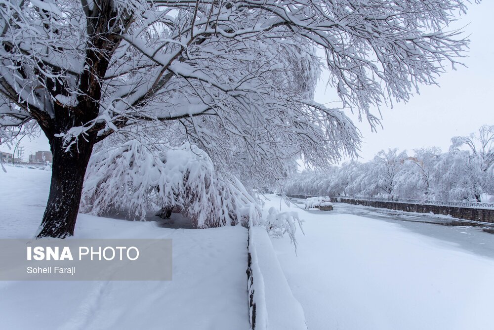 ایران سفید پوش شد