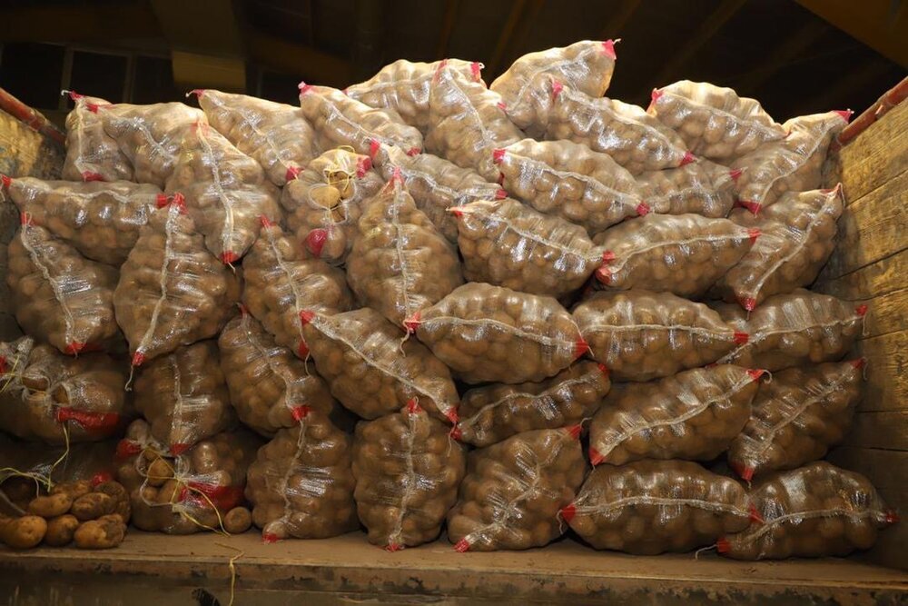 اولین محموله سیب‌زمینی رسید | قیمت‌ها کنترل می‌شود؟