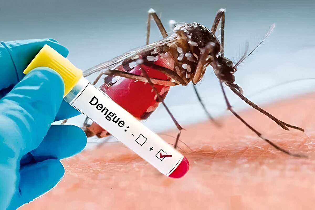 آخرین وضعیت تب دنگی در کشور؛ چند نفر مبتلا شدند؟