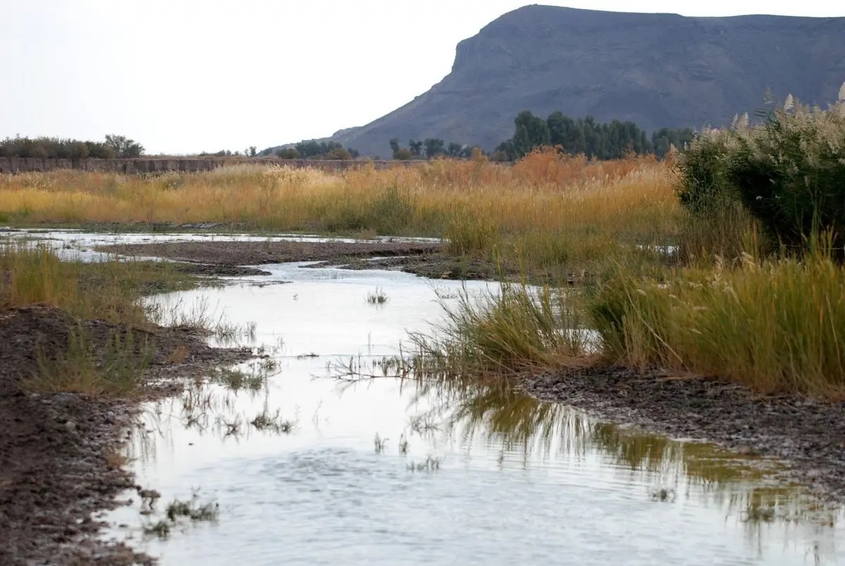 مرگ تالاب جازموریان و لزوم پیگیری حق آبه‌ها