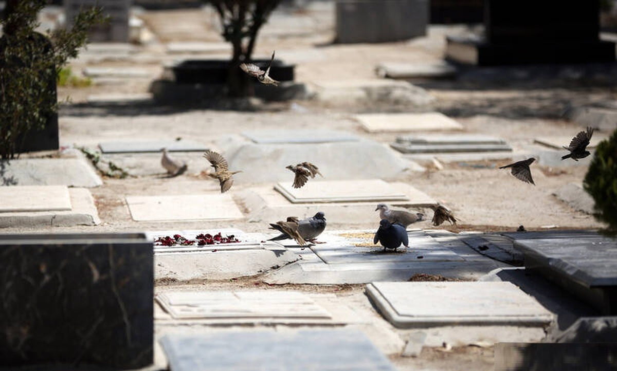 عضو شورای شهر تهران: بهشت زهرا حداکثر یکسال امکان دفن جدید دارد!