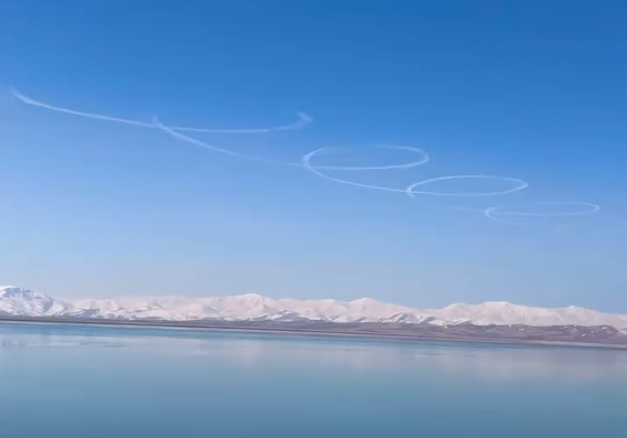 ببینید| دیده شدن ردی عجیب از یک پرنده ناشناس