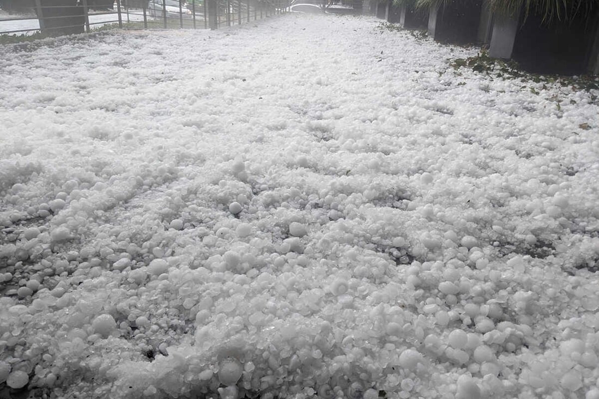 ببینید| عربستانی‌ها با بارش برف و تگرگ شدید غافلگیر شدند