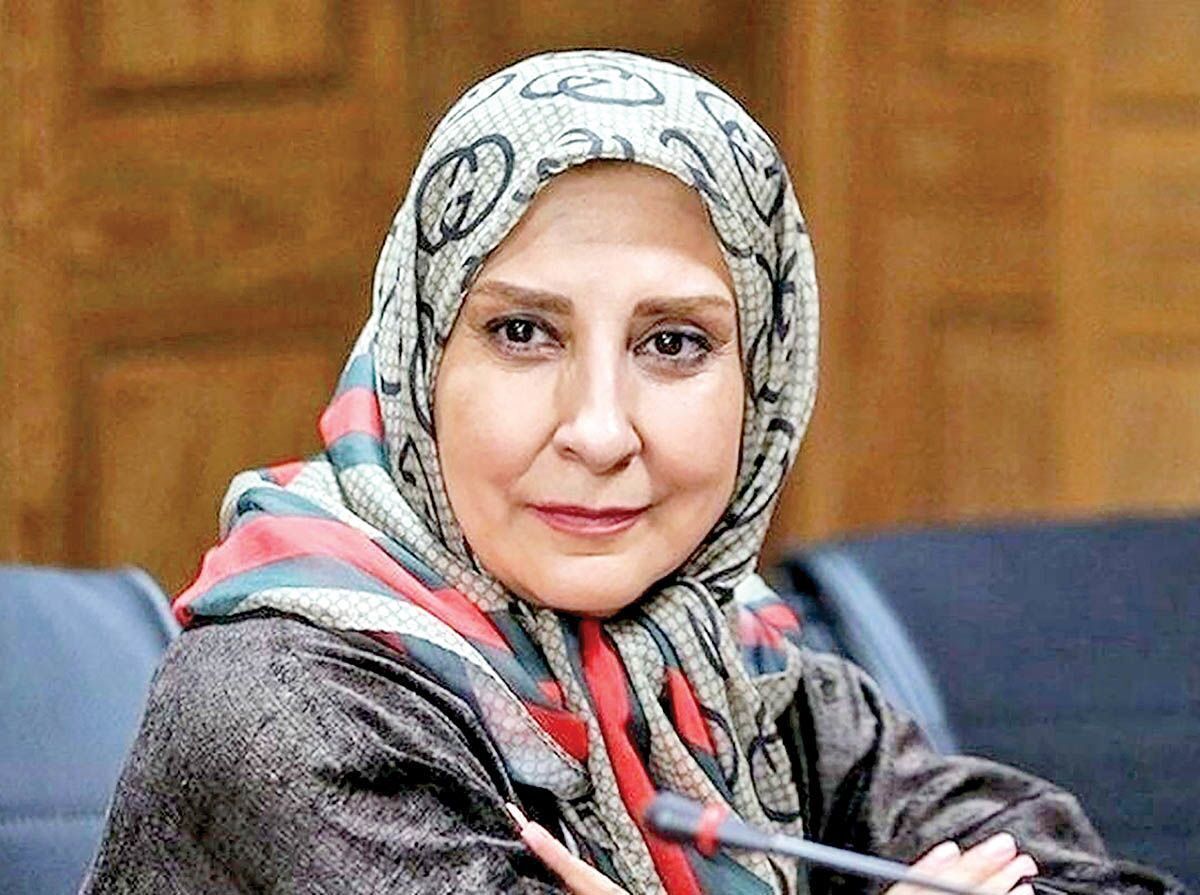 ببینید| کنایه مرجانه گلچین به گرانی گوشت