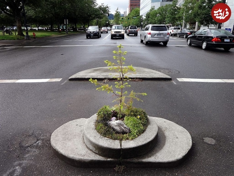 کوچک‌ترین پارک به اندازه ۴ برگ کاغذ