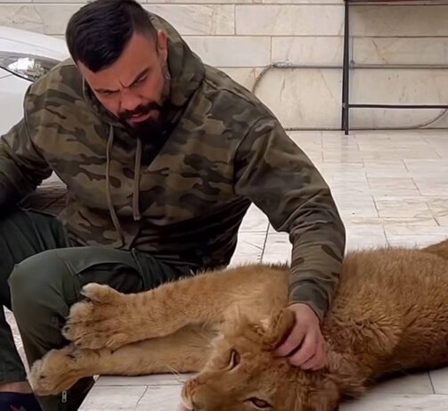 اقدام مجرمانه امیرعلی اکبری در نگهداری توله شیر ادامه دارد!