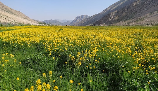 معرفی جاذبه گردشگری دشت لار با فاصله نزدیک از تهران //// نوروز معرفی جاذبه گردشگری دشت لار با فاصله نزدیک از تهران //// نوروز