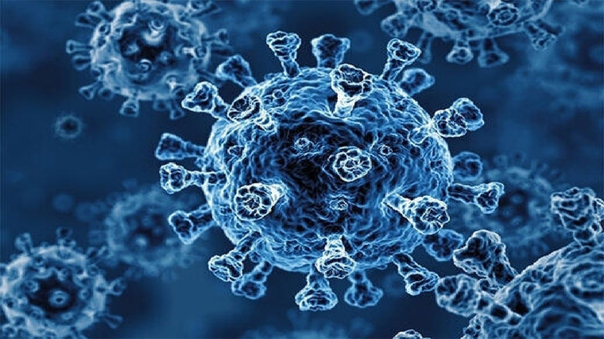 شناسایی نگران کننده یک ویروس کرونای جدید